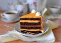 Fancy Chocolate & Orange Cake Royalty Free Stock Photo