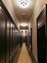 Elegant corridor in exclusive apartment house with dark walls and nice lamps