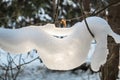 Fancy dangling snowdrift on a tree branch.