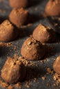 Fancy Dark Chocolate Truffles Royalty Free Stock Photo