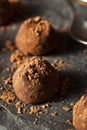 Fancy Dark Chocolate Truffles Royalty Free Stock Photo