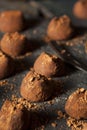 Fancy Dark Chocolate Truffles Royalty Free Stock Photo