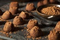 Fancy Dark Chocolate Truffles Royalty Free Stock Photo