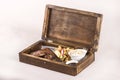 Fancy dish with grilled pork ribs, barbecue sauce, French fries, Coleslaw salad, in a wooden box