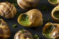 Fancy French Hot Escargot Appetizer Royalty Free Stock Photo