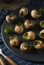 Fancy French Hot Escargot Appetizer Royalty Free Stock Photo