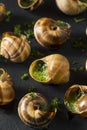 Fancy French Hot Escargot Appetizer Royalty Free Stock Photo