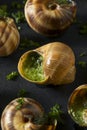 Fancy French Hot Escargot Appetizer Royalty Free Stock Photo