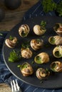 Fancy French Hot Escargot Appetizer Royalty Free Stock Photo