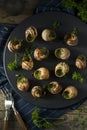 Fancy French Hot Escargot Appetizer Royalty Free Stock Photo