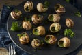 Fancy French Hot Escargot Appetizer Royalty Free Stock Photo