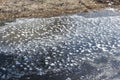 Fancy outgrowths of hoarfrost on ice of the thawing river