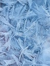 Hoarfrost pattern on the window