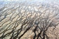 Fancy patterns on the bottom of the basin of the geyser in the Yellowstone national park