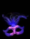 Fancy Purple and Blue Feathered Mask Royalty Free Stock Photo