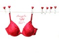 Fancy red bra hanging on clothesline Royalty Free Stock Photo