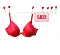 Fancy red bra hanging on clothesline Royalty Free Stock Photo