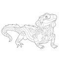 Fancy reptile iguana on white background. Contour linear illustration for coloring book with dragon. Anti stress picture. Line