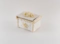 Fancy Satin Jewelry Box Royalty Free Stock Photo