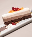 Fancy triple mousse chocolate dessert, decorated with forest fruits and chocolate sauce