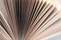 Fanned book pages closeup Royalty Free Stock Photo