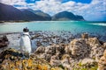 Fanny african penguin Royalty Free Stock Photo