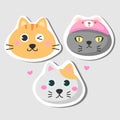 Fanny cartoon cat. character design collection stickers funny cats