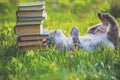 Fanny cat lying on the grass near pile of old books