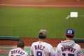 Fans at Busch stadium enjoying the Cardinals baseball game