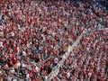 Fans cheer and celebrate with each other play