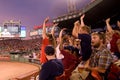 Fans cheer at historic Fenway Park Royalty Free Stock Photo