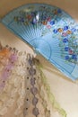 Fans displayed in store window of Rome, Italy, Europe Royalty Free Stock Photo