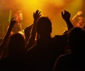 Fans, hands and silhouette, people at concert or music festival from back, orange lights and energy at live event. Dance