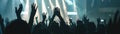 Fans with hands up, blurred stage backdrop, candid energy , professional color grading