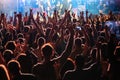 Fans at live rock music concert cheering