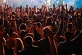 Fans at live rock music concert cheering