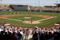 MLB Cactus League Spring Training Game Fans Royalty Free Stock Photo