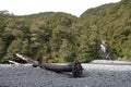 Fantail Falls on Haast Pass New Zealand Royalty Free Stock Photo