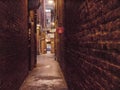 Fantan Alley in Victoria`s Chinatown founded in 1858 by Chinese immigrants is on Vancouver Island