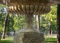 Fantan close-up on the background of green trees of the park. Royalty Free Stock Photo