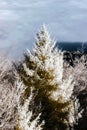 Fantastic aerial infrared view of mountain landscape with sea of