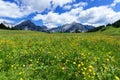 Fantastic alpine landscape with bright meadow flowers under blue sky