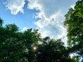Fantastic Array of Natures Beauty of Trees Clouds Sky and Sun
