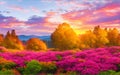 Fantastic Autumn Landscape. Amazing sunset With colorful sky in Azalea and Rhododendron Park Korma Generated by Ai