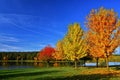 Fantastic autumn landscape with colorful trees by reflective calm pondside under a blue sky