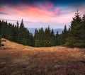 Fantastic autumn sunrise in Carpathian mountains.