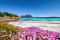 Fantastic azure water with rocks and lots of flowers at Doctors beach Spiaggia del Dottore near Porto Istana Royalty Free Stock Photo