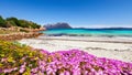 Fantastic azure water with rocks and lots of flowers at Doctors beach Spiaggia del Dottore near Porto Istana Royalty Free Stock Photo