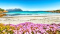 Fantastic azure water with rocks and lots of flowers at Doctors beach Royalty Free Stock Photo