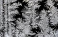 beautiful frosty patterns on the window glass Royalty Free Stock Photo